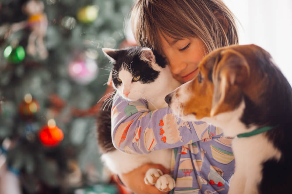 Child hugging a cat and a dog